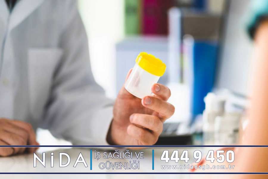 İdrar Tahlili Ne Zaman Çıkar? Tam İdrar Tahlili Nasıl Yapılır? - Nida OSGB