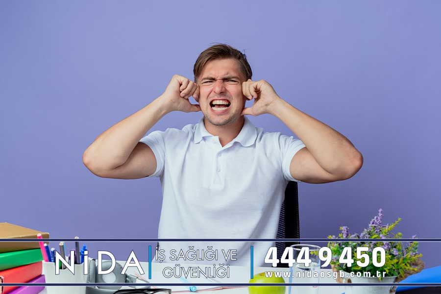 Gürültü Nedeniyle Yaşanılan Sağlık Sorunları - Nida OSGB
